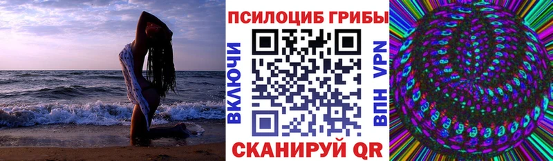 Псилоцибиновые грибы прущие грибы  Яхрома 