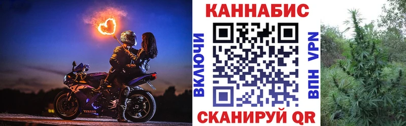 Каннабис план  Яхрома 